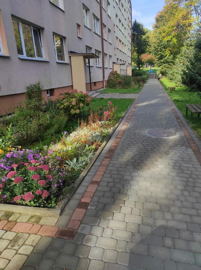 Apartament Opalinskiego 19/96 Przemyśl Zewnętrze zdjęcie